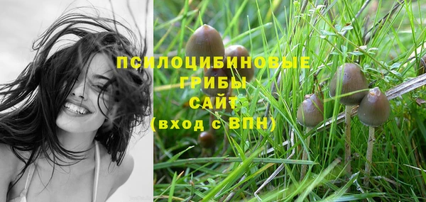 сатива Куйбышев