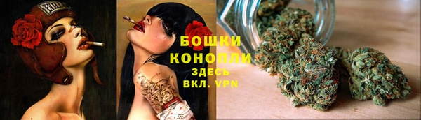 сатива Куйбышев