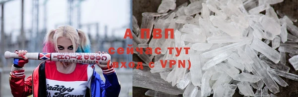 сатива Куйбышев