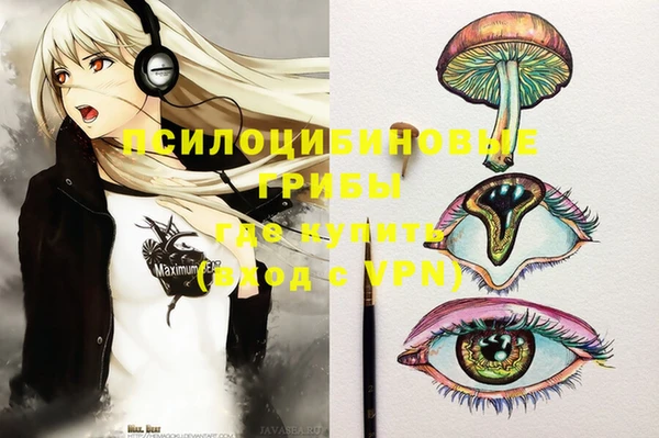 мдпв Кукмор