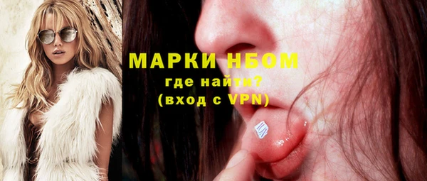 сатива Куйбышев