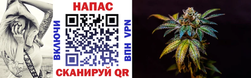 Купить где  Козельск  Каннабис индика 